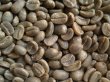 画像2: コープキャブ（ハイチ）生豆220ｇでの焙煎税込価格 (2)