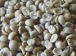 画像1: ウイニングランブレンド　生豆220ｇでの焙煎税込価格 (1)