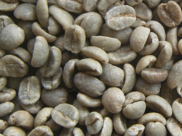 画像1: クレオパトラ（コロンビア）生豆220ｇでの焙煎税込価格 (1)