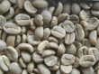 画像1: エメラルドマウンテン（コロンビア）生豆220ｇでの焙煎税込価格 (1)