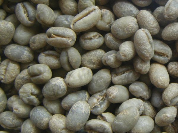 画像1: グアテマラピーベリー（グアテマラ）生豆220ｇでの焙煎税込価格 (1)