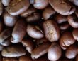 画像3: グアテマラSHB（グアテマラ）生豆220ｇでの焙煎税込価格 (3)