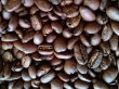 画像2: グアテマラSHB（グアテマラ）生豆220ｇでの焙煎税込価格 (2)