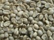 画像1: キングブルマンＮＯ1（ジャマイカ）生豆220ｇでの焙煎税込価格  (1)