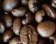 画像3: キリマンジャロ（タンザニア）生豆220ｇでの焙煎税込価格 (3)