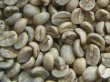 画像1: キリマンジャロ（タンザニア）生豆220ｇでの焙煎税込価格 (1)