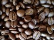 画像2: キリマンジャロ（タンザニア）生豆220ｇでの焙煎税込価格 (2)