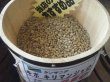 画像1: キリマンジャロ　キボー（タンザニア）生豆220ｇでの焙煎税込価格  (1)