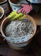 画像1: マサイAA（ケニア）生豆220ｇでの焙煎税込価格  (1)