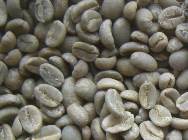 画像1: モカ イルガチャフ（エチオピア）生豆220ｇでの焙煎価格 (1)