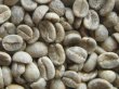 画像1: ケニアAA（ケニア）生豆220ｇでの焙煎価格 (1)