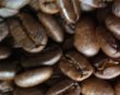 画像3: マンデリンG１（インドネシア）生豆220ｇでの焙煎税込価格 (3)