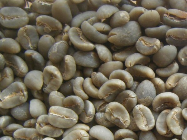 画像1: マンデリントバコ（インドネシア）生豆220ｇでの焙煎税込価格 (1)