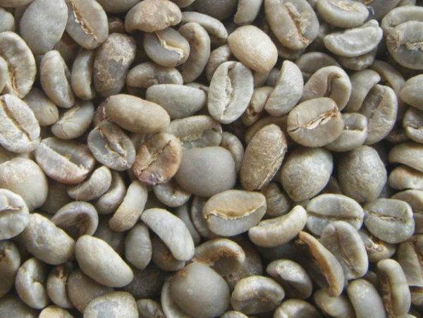 画像1: ヨーロピアンブレンド　生豆220ｇでの焙煎税込価格 (1)