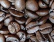 画像3: ブラジル ショコラ（ブラジル）生豆220ｇでの焙煎税込価格 (3)