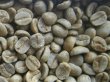 画像1: ブラジル ショコラ（ブラジル）生豆220ｇでの焙煎税込価格 (1)