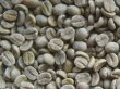 画像1: ブルボン アマレイロ（ブラジル）生豆220ｇでの焙煎税込価格 (1)