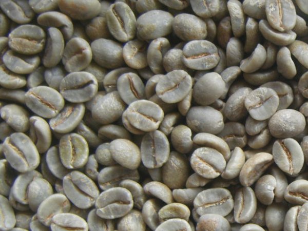 画像1: ブルボン アマレイロ（ブラジル）生豆220ｇでの焙煎税込価格 (1)