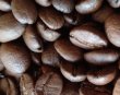 画像4: キリマンジャロ　キボー（タンザニア）生豆220ｇでの焙煎税込価格  (4)